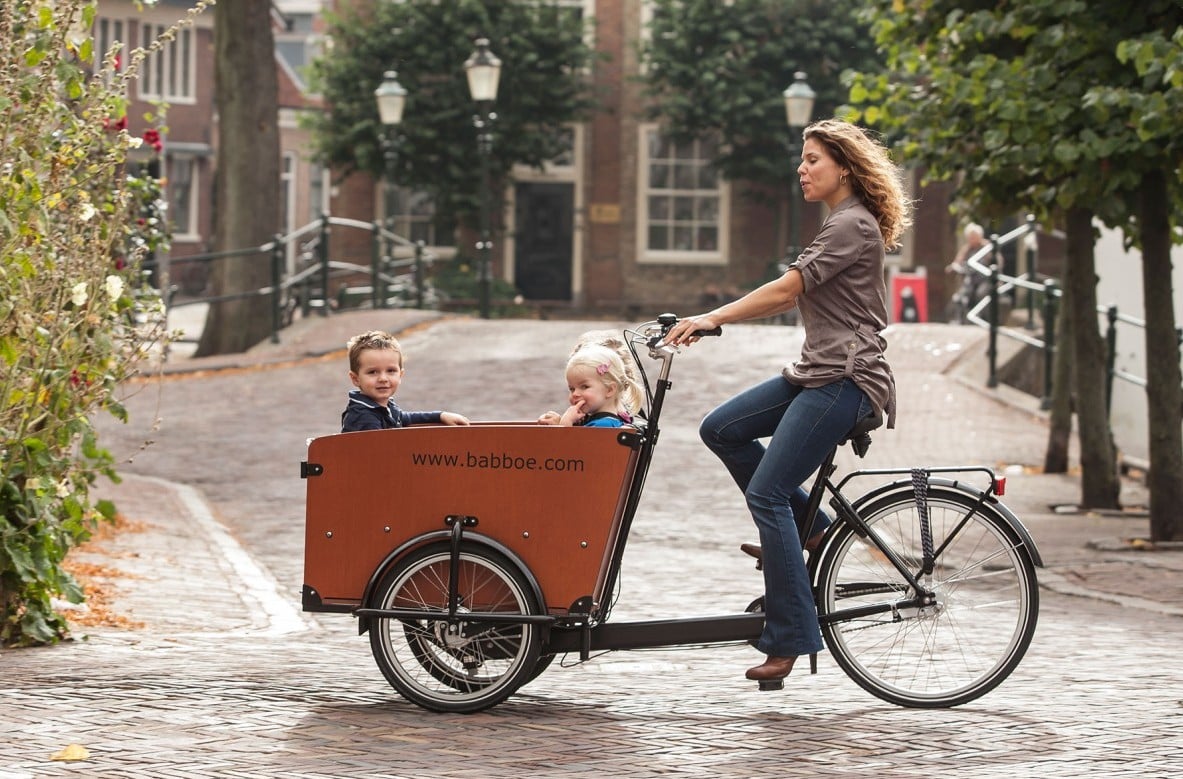 VAIC bicicleta electricas carga familiar